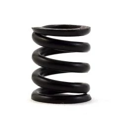 Team Associated Slipper Spring